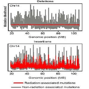 Radiation and DNA Damage