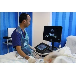 Using Point-Of-Care Ultrasound to Train the Intensivists of the Future 