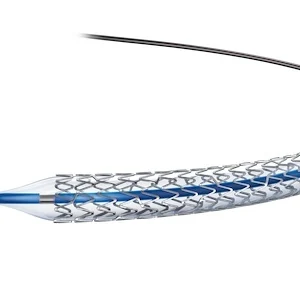 Drug-eluting stent, credit Wikimedia Commons