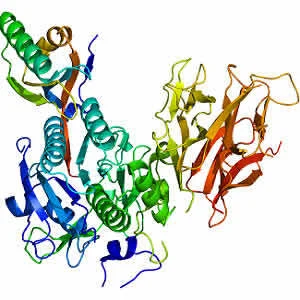 PCSK9 and HMGCR Genetic Variants Affect Cardiovascular Disease Risk