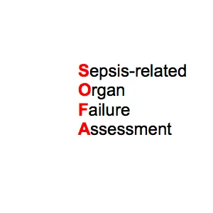 Study: SOFA Score Helps Predict ICU Mortality 