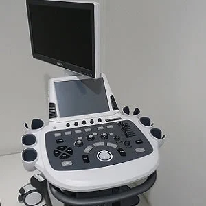 Telementored Ultrasound for Non-physician Learners