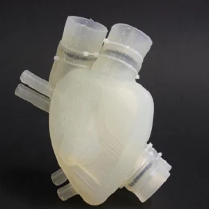 The soft artificial heart resembles the human heart in appearance and function.
