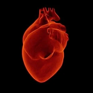 HRRP and increased death risk in heart failure patients
