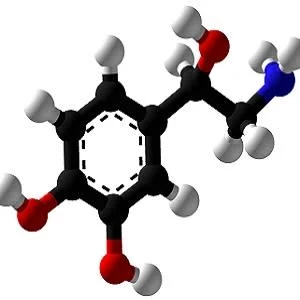 Vasopressors contribute to ICU-associated weakness