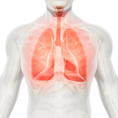 AI can triage chest X-rays in record time