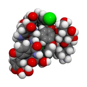 Vancomycin pharmacokinetics in critically ill obese patients