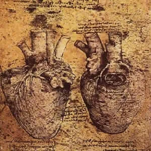 Leonardo da Vinci and his Study of the Heart