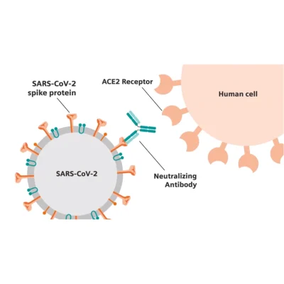 Siemens Healthineers Collaboration with CDC to standardize SARS-CoV-2 assays