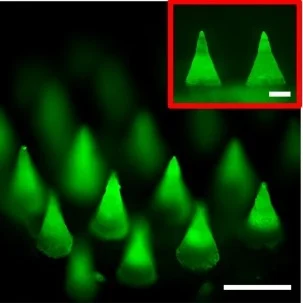 Microneedle Patches for Diagnostics and Monitoring