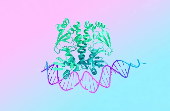 AlphaFold 3 by Google DeepMind Transforms Molecular Understanding 