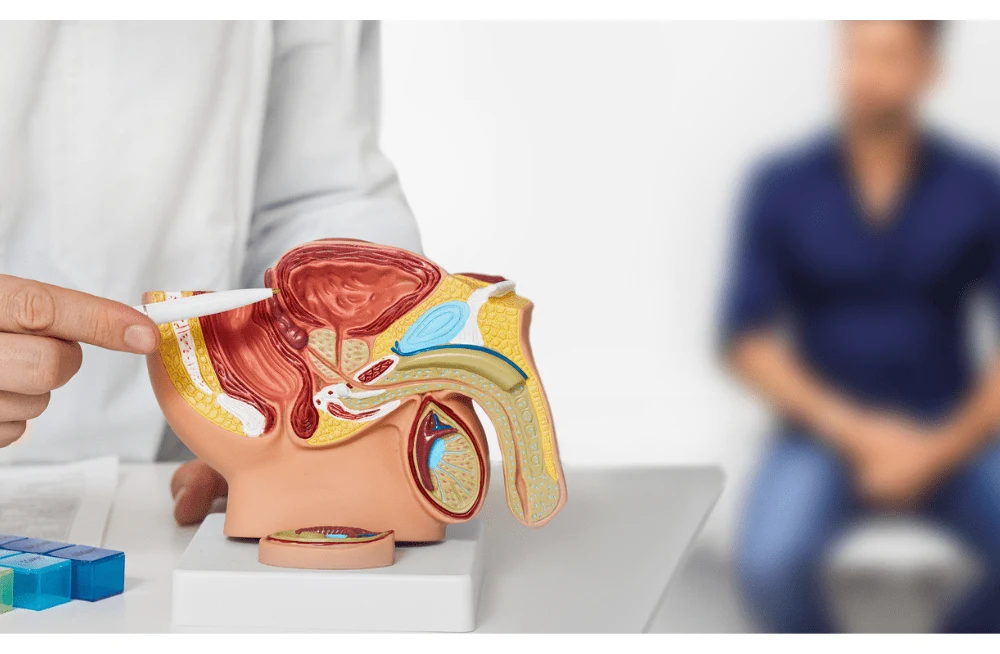 Advancing MRI Utility in PSA Gray Zone for Prostate Cancer Management