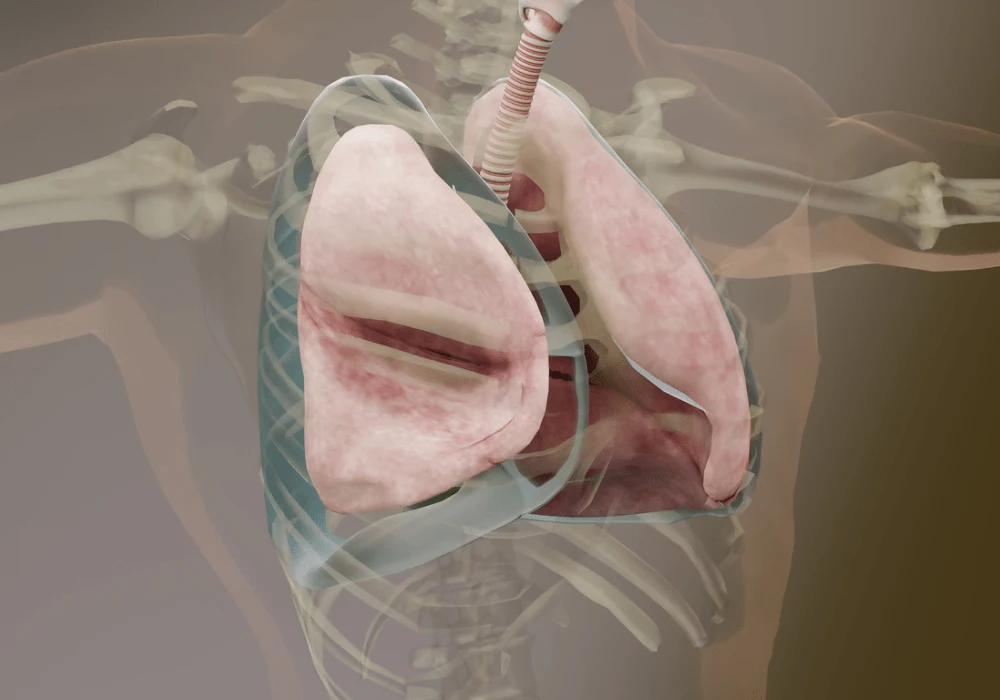 Pleural Effusion in COVID-19 Patients