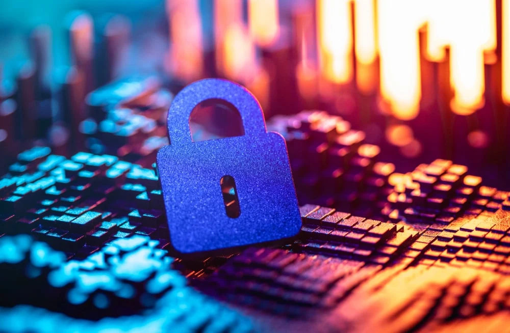 Provider&rsquo;s Role in Closing the Digital Divide in Healthcare