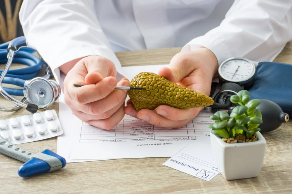 Doctor explaining pancreatic anatomy using a model, with medical tools and documents on desk, highlighting patient education in endocrine and digestive health.&nbsp;