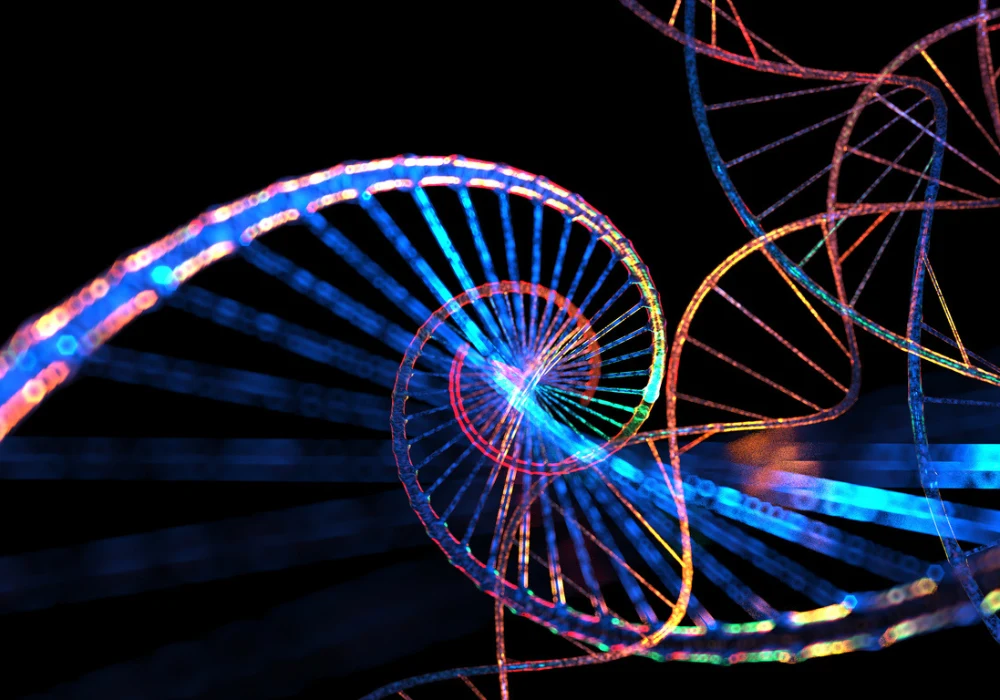  Colourful 3D rendering of DNA double helix structure on a black background, symbolising genetic science.&nbsp;