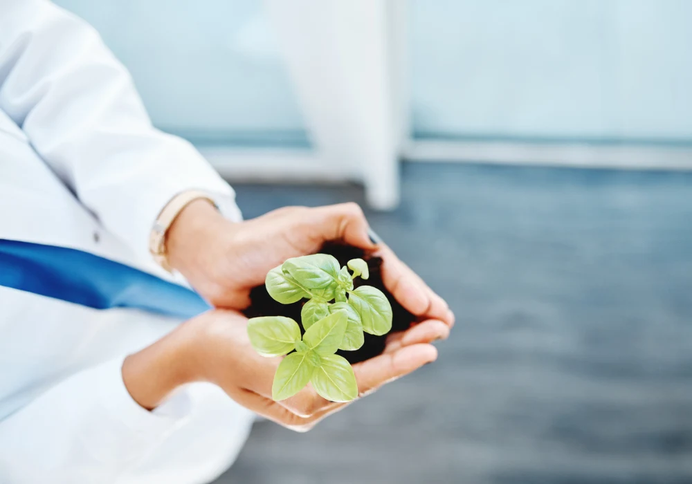 Close-up of a scientist in a lab coat holding a young green plant in a pot, symbolising biotechnology and sustainable research.&nbsp;