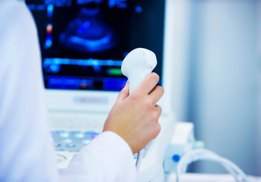 Doctor holding ultrasound transducer with echocardiography scan visible on monitor in background&nbsp;