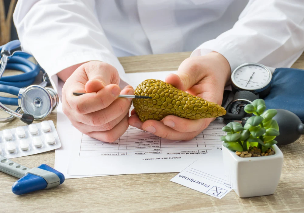 Doctor holding pancreas model during medical consultation about diabetes and pancreatic diseases.&nbsp;