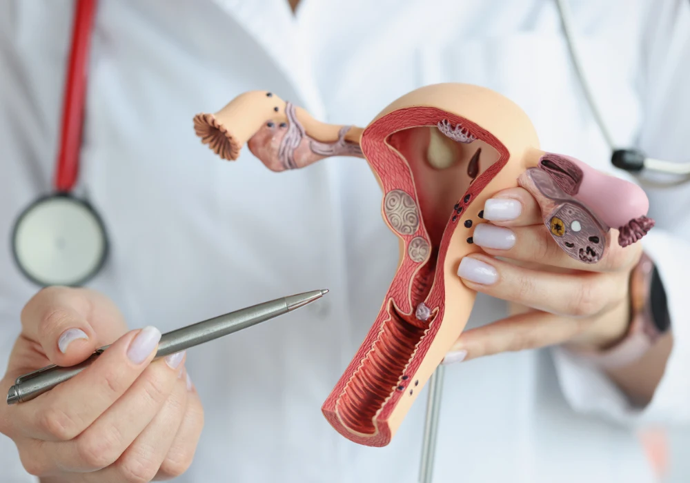 Doctor explaining female reproductive system with anatomical uterus model&nbsp;