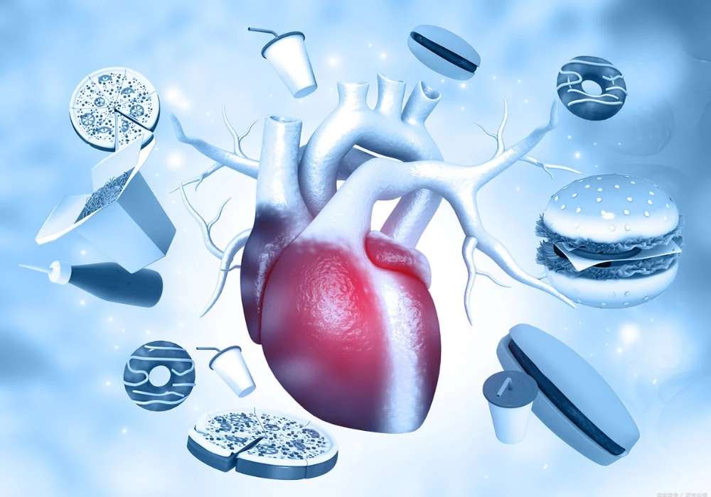 Human heart anatomy with fast foods. Unhealthy diet concept. 3d illustration