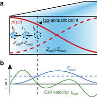New Ultrasound Increases Awareness About Cancer Cells