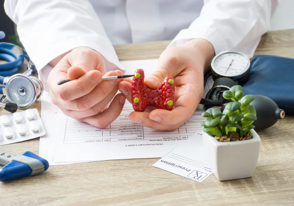 Endocrinologist using thyroid gland model to explain parathyroid function during patient consultation&nbsp;