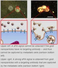 spectroscopic photoacoustic (sPA) imaging system