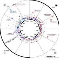 Data visualisation that maps the statistical relationship between birth month and disease