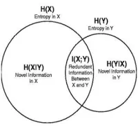 an illustration of information theory applied to two variables 