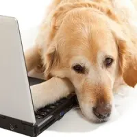 pet health portals