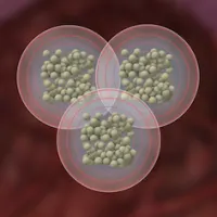 Cluster of SIR-Spheres&reg; Y-90 resin microspheres (Source: http://www.sirtex.com/eu/newsroom/media-materials-library/images/)