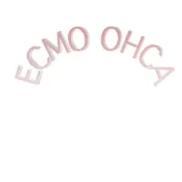 ECMO OHCA in words