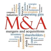  M &amp; As Healthcare