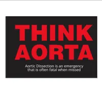 Think Aorta logo