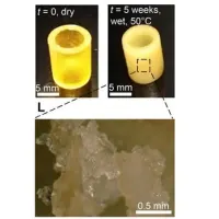 Novel Airway Stents Created with 3D DLP Printing 