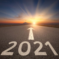 Focus Areas for 2021: Expert Opinion