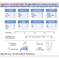 Machine Learning Predicts Poor Diuretic Response in Acute Decompensated Heart Failure