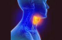 Advances in Radiomics for Preoperative Staging of Oesophageal Cancer