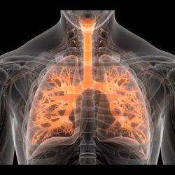 Potential of Tracheal Surface Roughness Measurement as a Biomarker in COPD