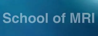 ESMRMB - School of MRI - Body Diffusion-weighted MRI: From Theory to Practice 2014