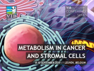 Metabolism in Cancer and Stromal Cells