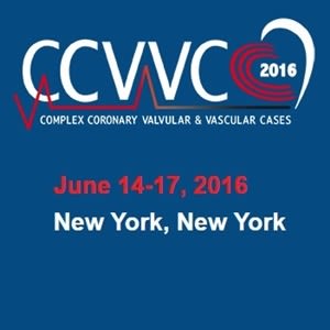  19th Annual CCVVC 2016 