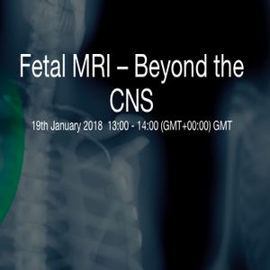 BIR Fetal MRI &ndash; Beyond the CNS