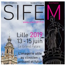 SIFEM 2019