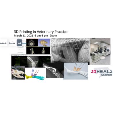 3D Printing in Veterinary Practice