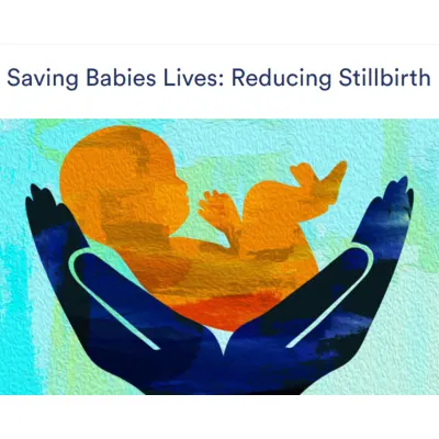 Saving Babies Lives: Reducing Stillbirth 2023