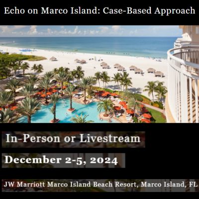 Echo on Marco Island: Case-Based Approach 2024 