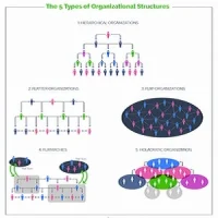 new organisational structures