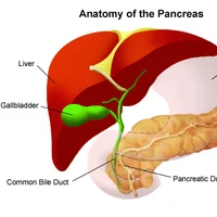 http://healthinfo.uclahealth.org/Search/85,P00416